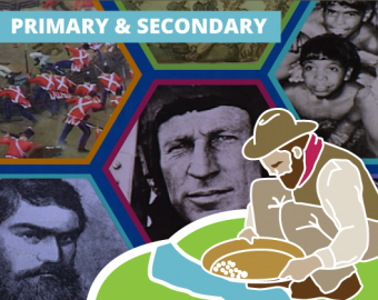 AHM Primary & Secondary Case Studies Subscription